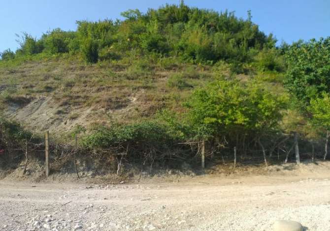 Shitet Toke .  Ne Peze Helmes. Me dokumenta te rregullta