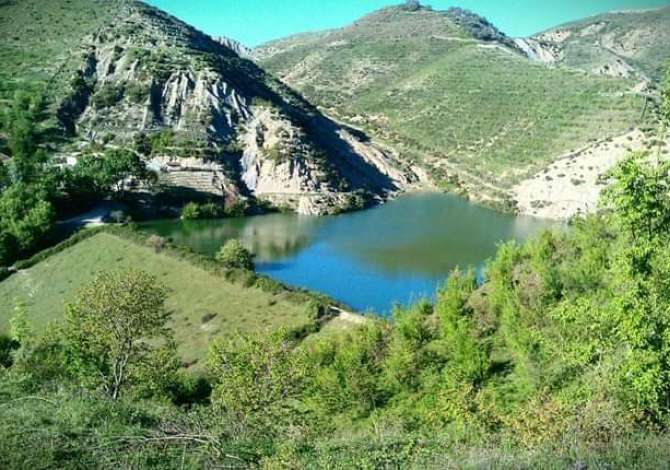 Shitet Toke .  Ne Peze Helmes. Me dokumenta te rregullta