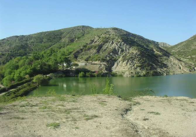 Shitet Toke .  Ne Peze Helmes. Me dokumenta te rregullta