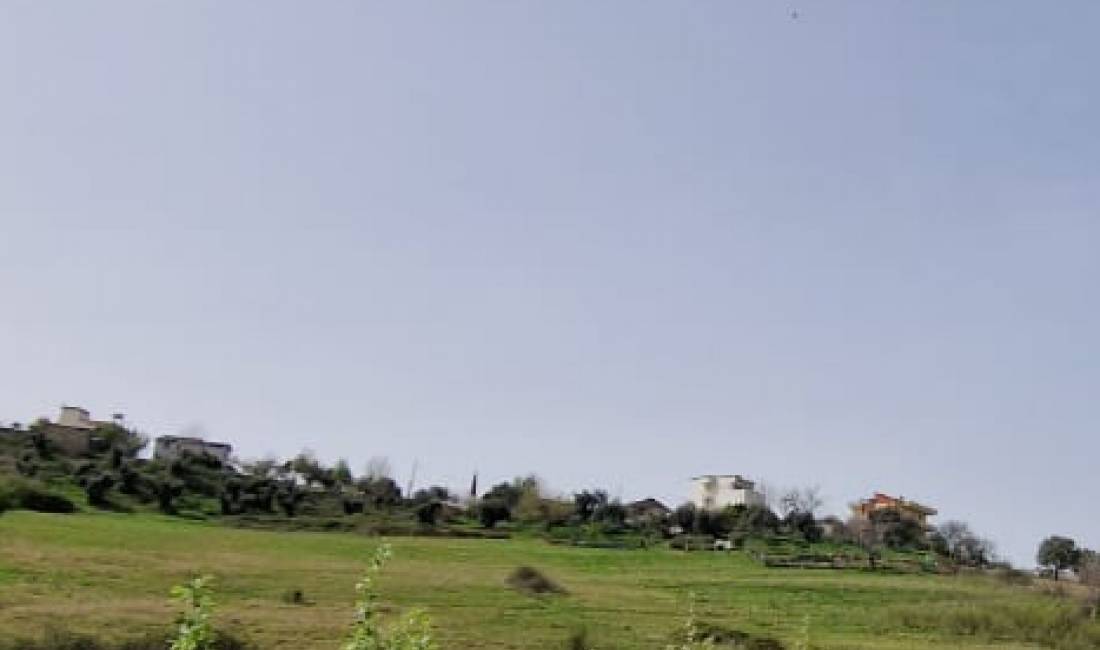 Shitet truallli per ndertim, Siperfaqja 13000m2, Cmimi 150euro/ m2, Adresa Farke