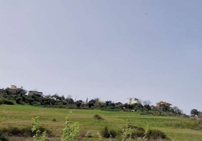 Shitet truallli per ndertim, Siperfaqja 13000m2, Cmimi 150euro/ m2, Adresa Farke