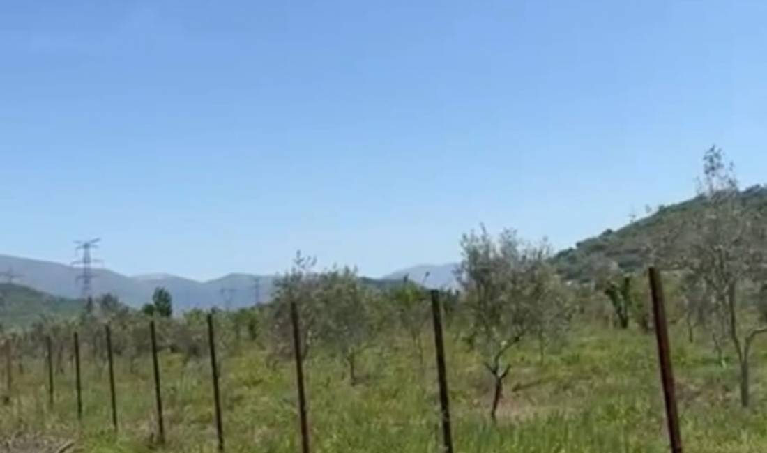 Shitet Toke, Siperfaqja: 6000 m2, Cmimi 40euro/m2, Adresa: Vishaj, Tirane