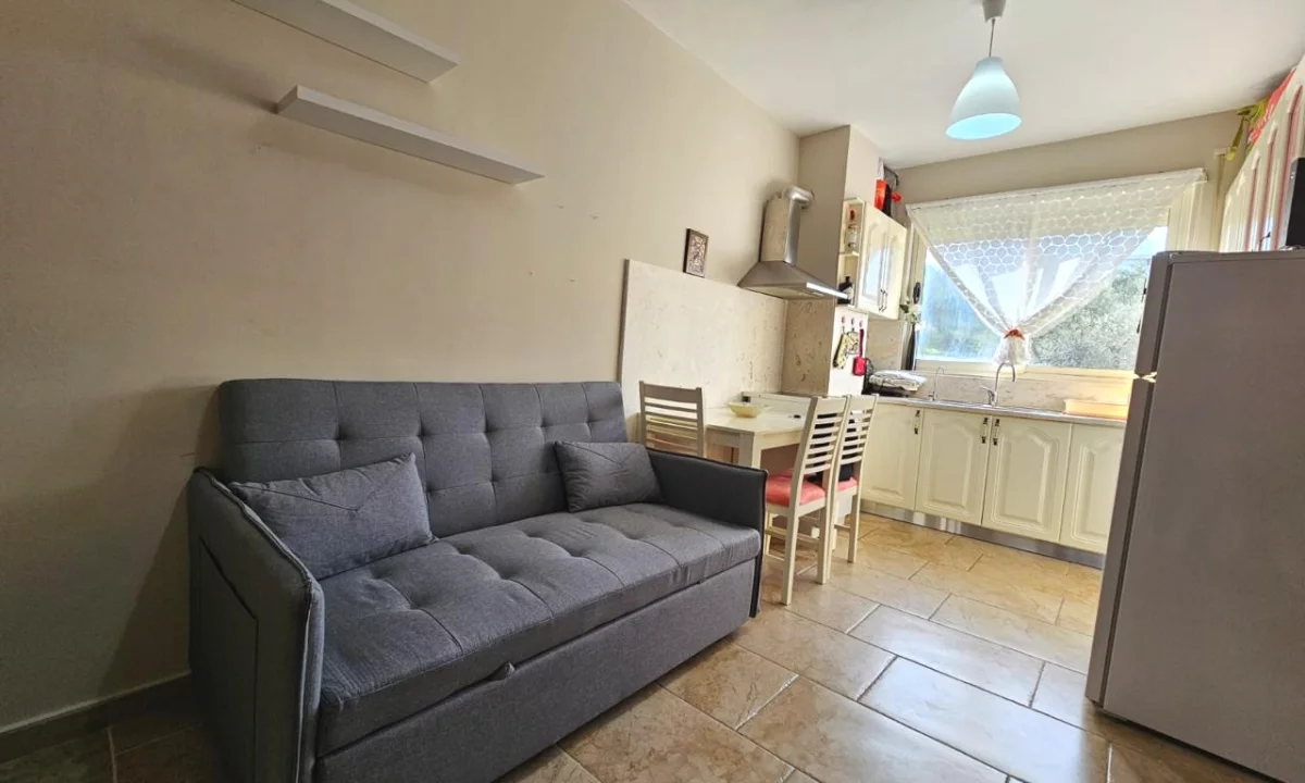 Shtepi me qera Apartament ne Tirane, 1+1, Mobilimi E mobiluar, Pagesa 40,000  Leke.