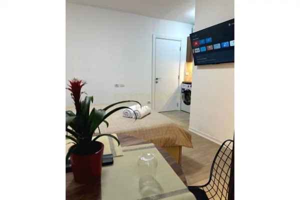 Shtepi ne shitje Apartament ne Tirane, 1+1, Mobilimi E mobiluar, Pagesa 297,000  Euro.