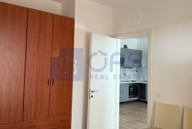 Shtepi me qera Apartament ne Tirane, 1+1, Mobilimi E mobiluar, Pagesa 450  Euro.