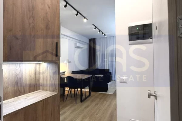 Shtepi me qera Apartament ne Tirane, 1+1, Mobilimi E mobiluar, Pagesa 550  Euro.