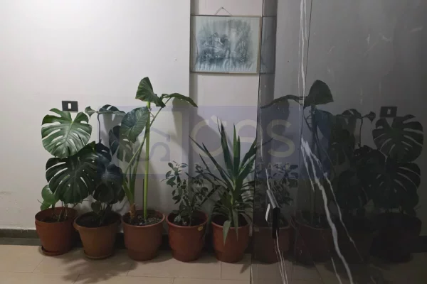 Shtepi me qera Apartament ne Tirane, 1+1, Mobilimi E mobiluar, Pagesa 650  Euro.