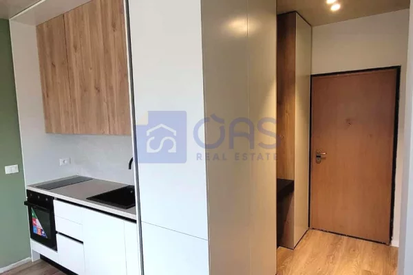 Shtepi me qera Apartament ne Tirane, 1+1, Mobilimi E mobiluar, Pagesa 550  Euro.