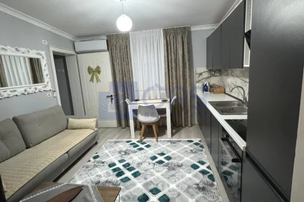 Apartment for rent in Tirana 1+1, Furnished