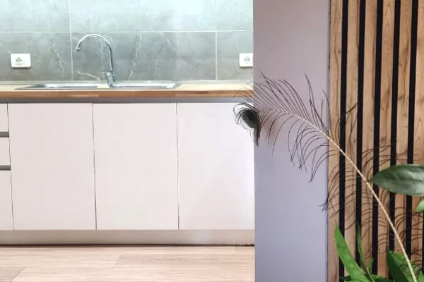 Shtepi me qera Apartament ne Tirane, 1+1, Mobilimi E mobiluar, Pagesa 65,000  Leke.