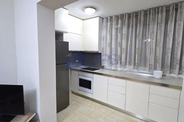 Shtepi me qera Apartament ne Tirane, 1+1, Mobilimi E mobiluar, Pagesa 55,000  Leke.