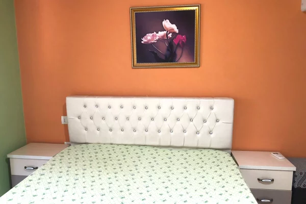 Shtepi me qera 1+1 ne Tirane - 30,000 Leke