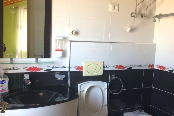 Shtepi me qera Apartament ne Tirane, 1+1, Mobilimi E mobiluar, Pagesa 30,000  Leke.