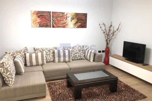 Shtepi me qera 1+1 ne Tirane - 65,000 Leke