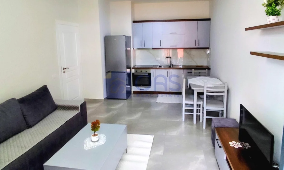Shtepi me qera Apartament ne Tirane, 1+1, Mobilimi E mobiluar, Pagesa 50,000  Leke.