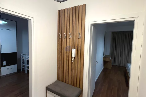 Shtepi me qera Apartament ne Tirane, 1+1, Mobilimi E mobiluar, Pagesa 450  Euro.