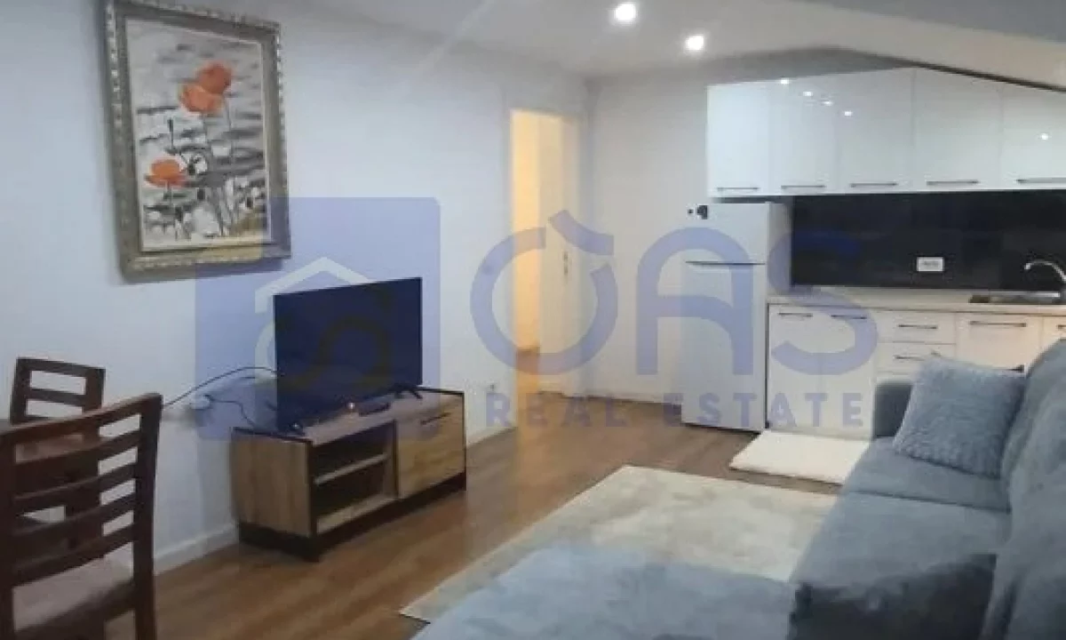 Appartamento in affitto a Tirana 1+1, Arredato