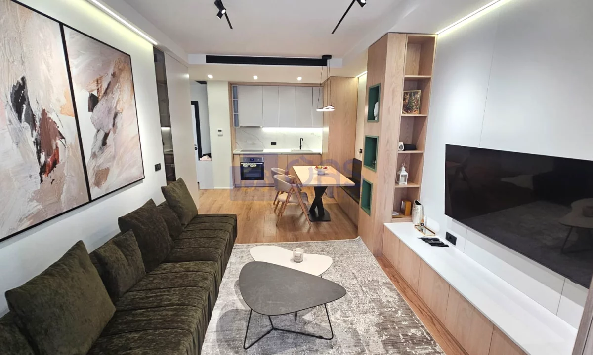 Shtepi me qera Apartament ne Tirane, 1+1, Mobilimi E mobiluar, Pagesa 100,000  Leke.