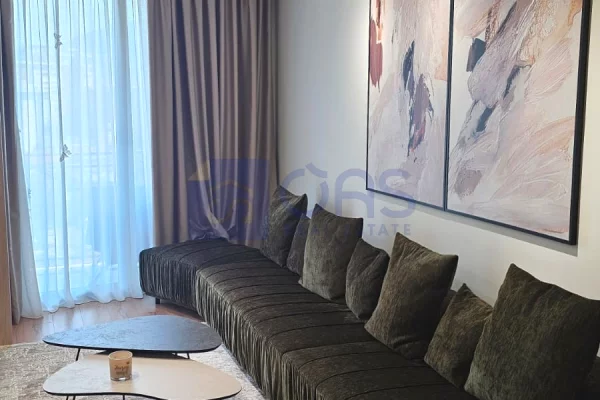 Shtepi me qera Apartament ne Tirane, 1+1, Mobilimi E mobiluar, Pagesa 100,000  Leke.