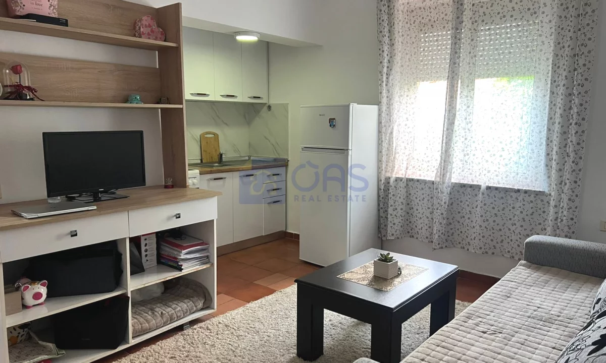 Shtepi me qera Apartament ne Tirane, 1+1, Mobilimi E mobiluar, Pagesa 40,000  Leke.