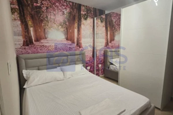 Shtepi me qera Apartament ne Tirane, 1+1, Mobilimi E mobiluar, Pagesa 60,000  Leke.