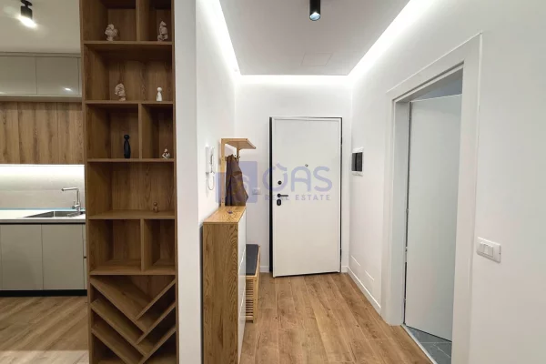 Shtepi me qera Apartament ne Tirane, 1+1, Mobilimi E mobiluar, Pagesa 500  Euro.
