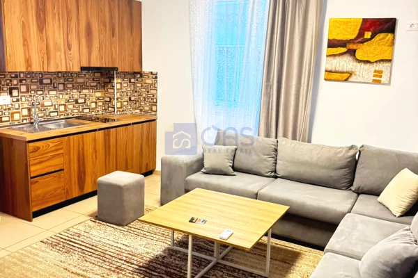 Shtepi me qera 1+1 ne Tirane - 50,000 Leke