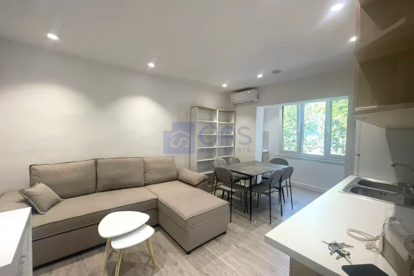 Shtepi me qera 1+1 ne Tirane - 55,000 Leke