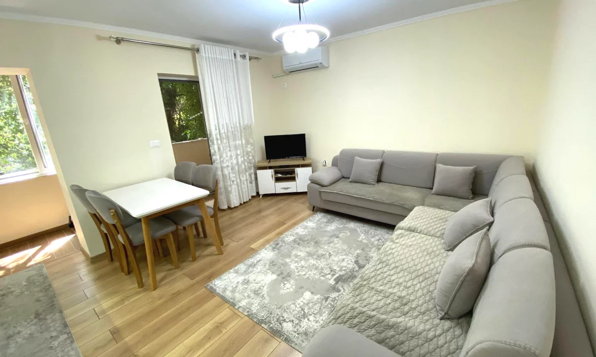 Shtepi ne shitje Apartament ne Tirane, 1+1, Mobilimi E mobiluar, Pagesa 160,000  Euro.