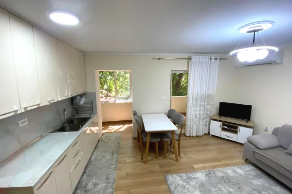 Shtepi ne shitje Apartament ne Tirane, 1+1, Mobilimi E mobiluar, Pagesa 160,000  Euro.