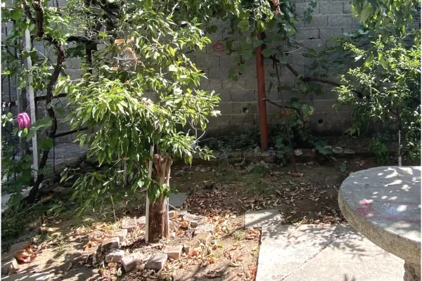 Shtepi me qera Shtepi Private ne Tirane, 1+1, Mobilimi E mobiluar, Pagesa 40,000  Leke.