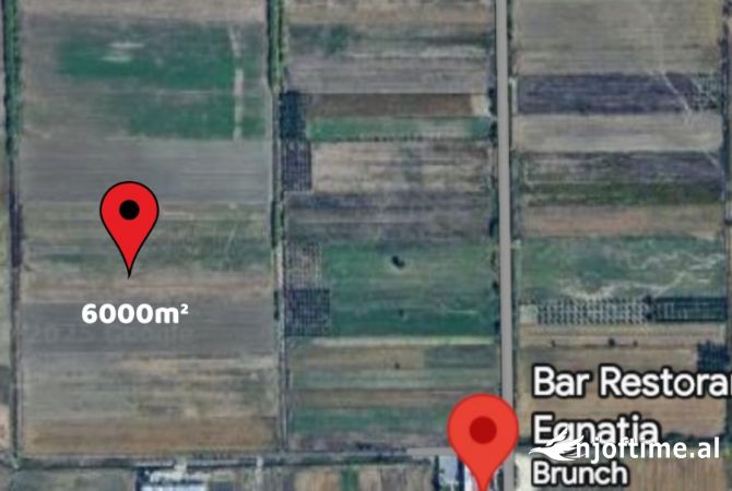 Tokë prodhuese tek Bypass i ri në Fier – Mundësi e shkëlqyer investimi!