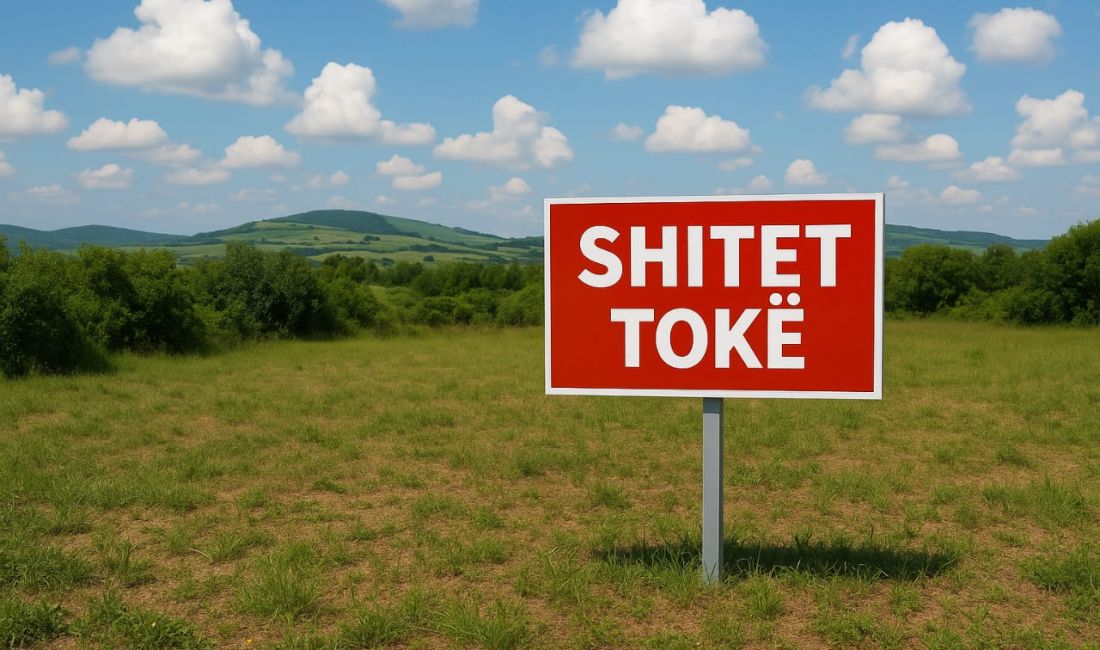 SHITET TOKE NE FARKE 