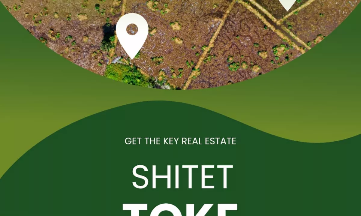 SHITET TOKE NE LUNDER