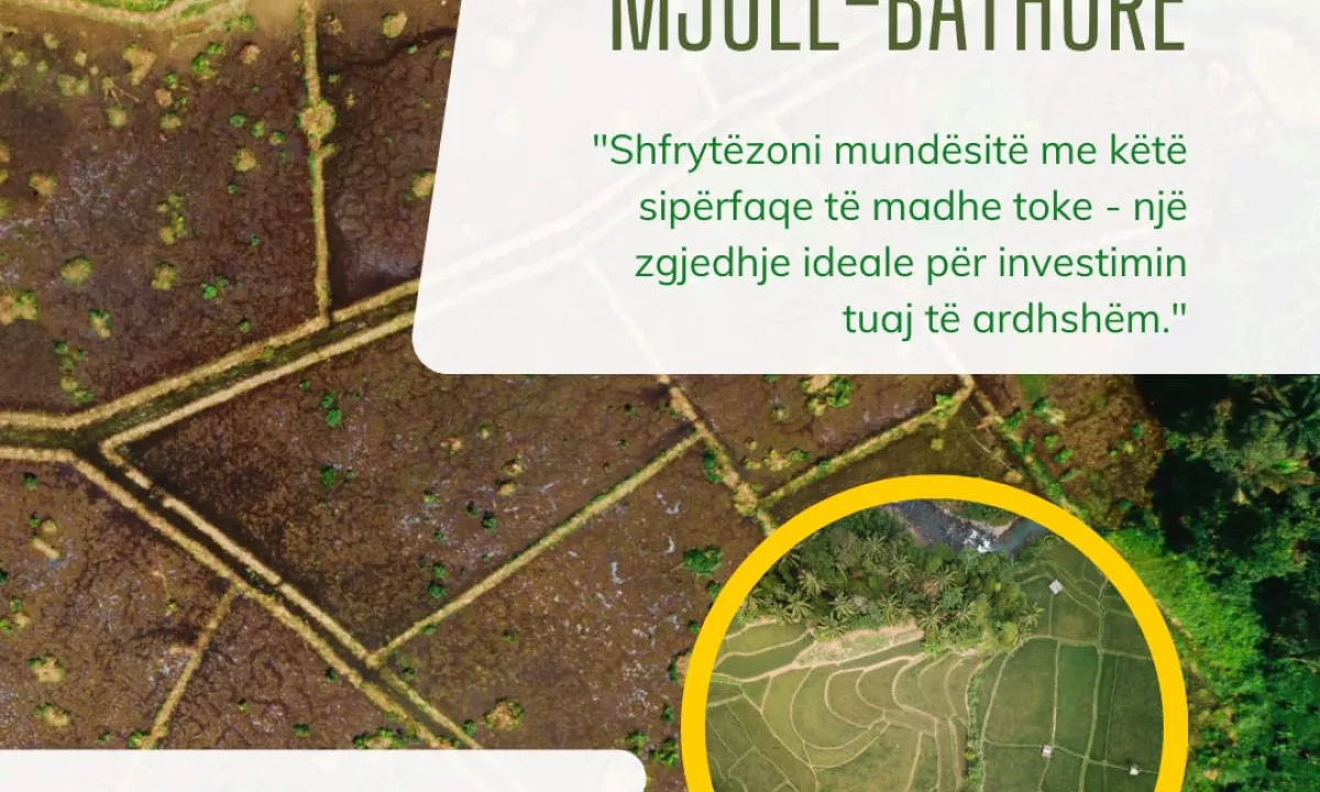 SHITET TOKE NE MJULL BATHORE