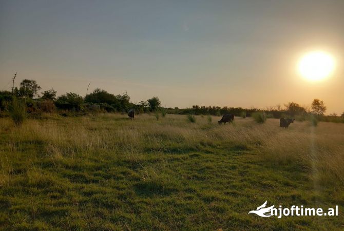 Terreno in vendita a Alessio - 560,000 Euro