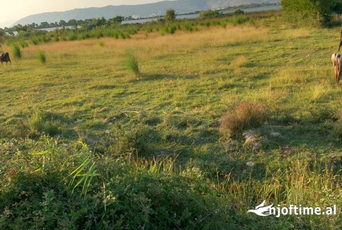 Terreno in vendita a Alessio - 560,000 Euro