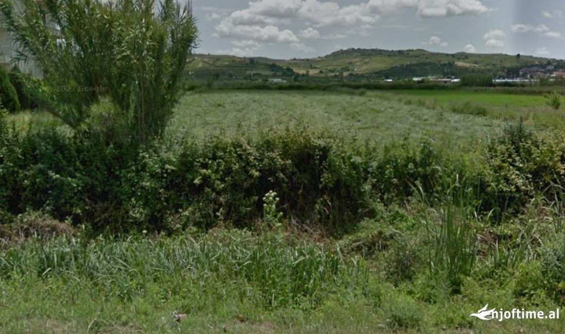 Shitet Truall Okazion