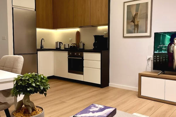 Shtepi ne shitje Apartament ne Tirane, 1+1, Mobilimi E mobiluar, Pagesa 150,000  Euro.