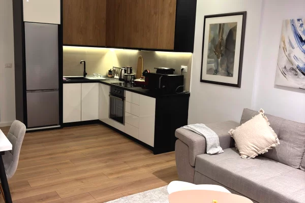 Shtepi ne shitje Apartament ne Tirane, 1+1, Mobilimi E mobiluar, Pagesa 150,000  Euro.