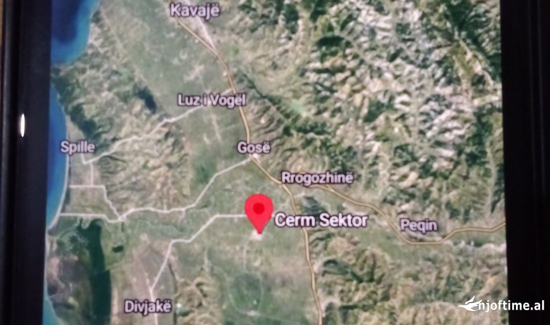 Shitet toke buqesore