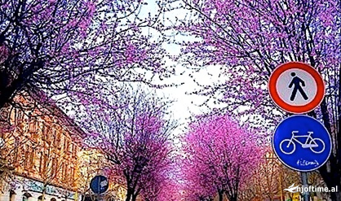 Shitet Ambient Komercial tek Rruga e Kavajes! Cmimi 4000 Euro/m2 i diskutueshem 