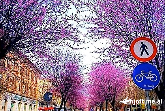 Shitet Ambient Komercial tek Rruga e Kavajes! Çmimi 4000 €/m2 i diskutueshem 