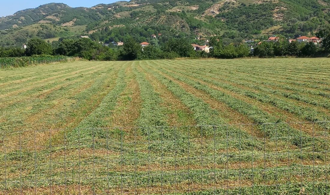 Shitet toke ne Petrele me siperfaqe 11.500m2 