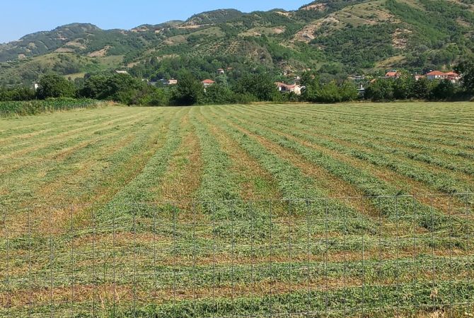 Shitet toke ne Petrele me siperfaqe 11.500m2 