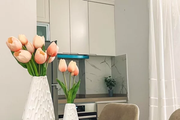 Shtepi me qera Apartament ne Tirane, 1+1, Mobilimi E mobiluar, Pagesa 600  Euro.