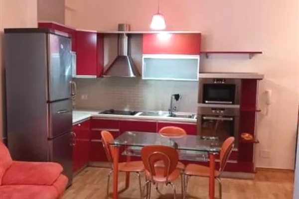 Apartment for rent in Tirana 1+1, Furnished