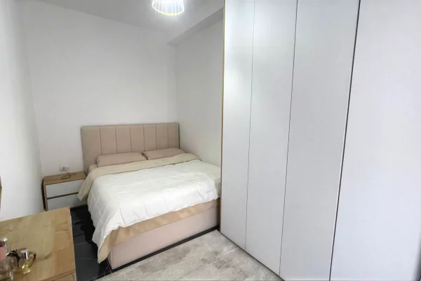 Shtepi me qera Apartament ne Tirane, 1+1, Mobilimi E mobiluar, Pagesa 400  Euro.