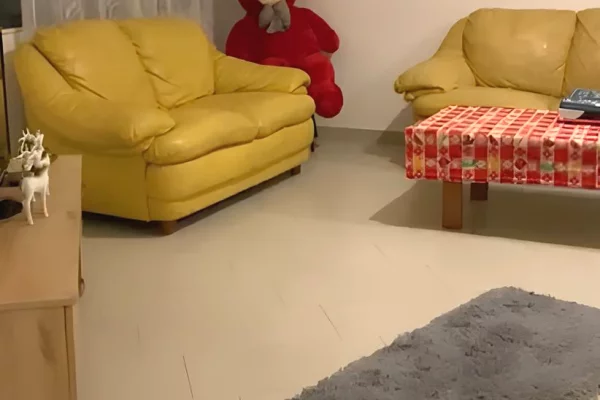 Apartment for rent in Tirana 1+1, Furnished