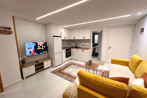 Apartment for rent in Tirana 1+1, Furnished